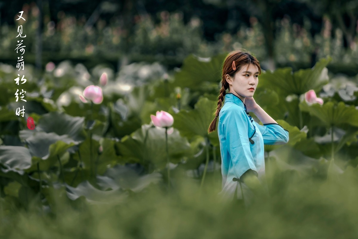 又见何萌初绽时