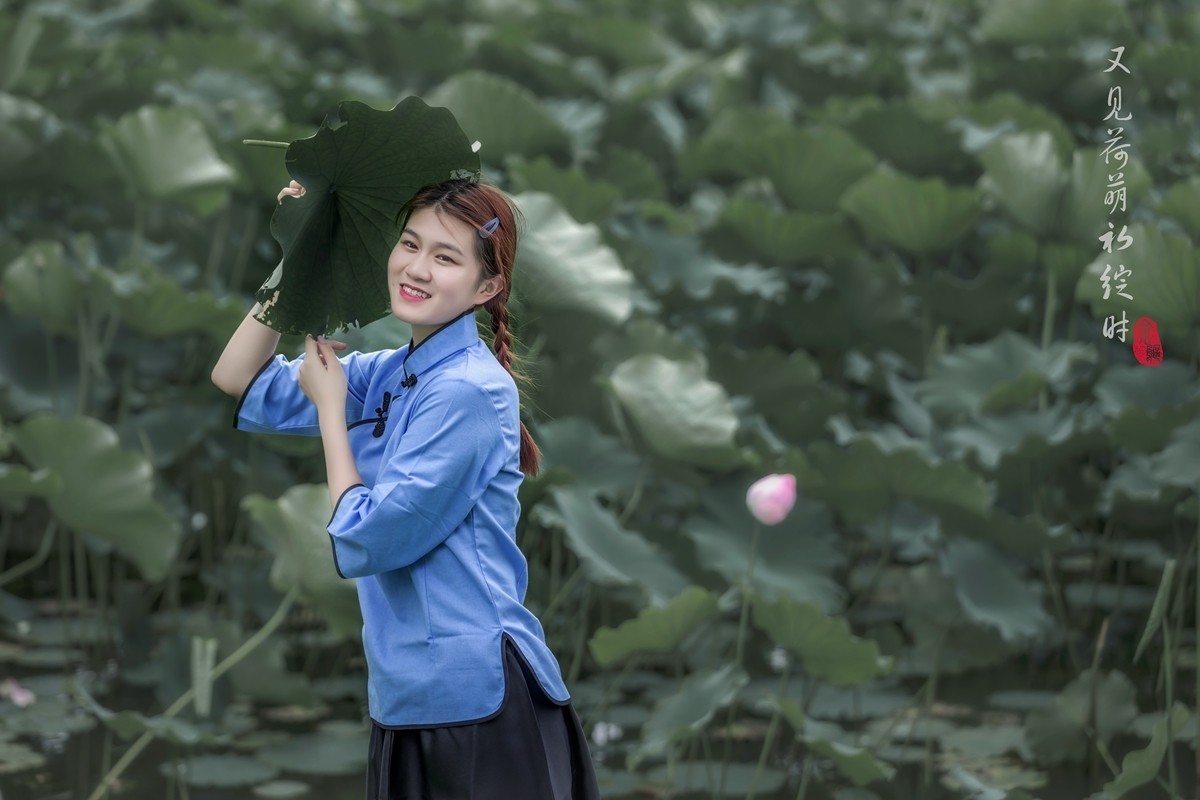 又见何萌初绽时