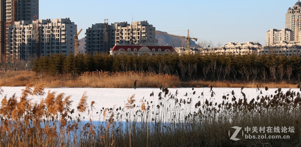 终于会发新版贴了