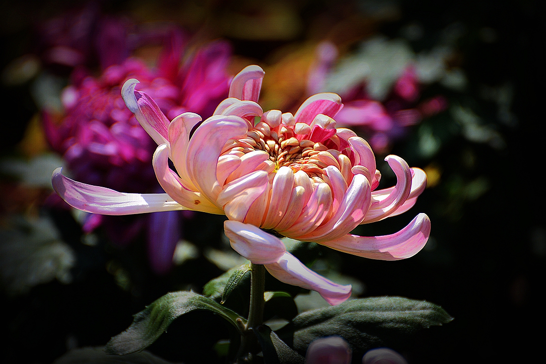 #2014摄影精彩回顾#——我的成长之路