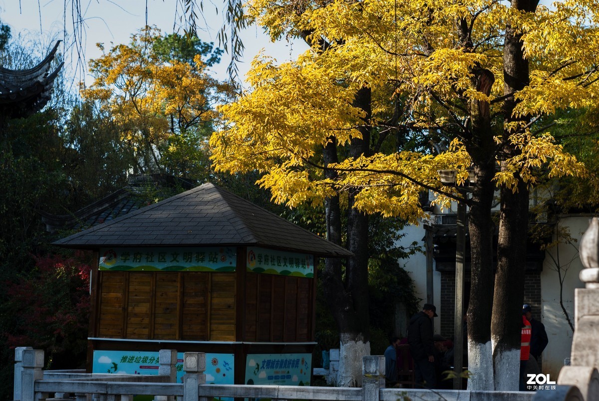 现在还有人用k200d拍照吗？