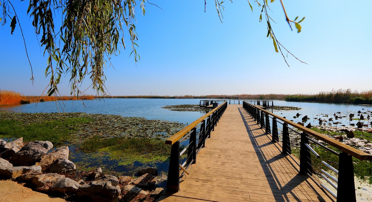 又学发大图：回顾2014