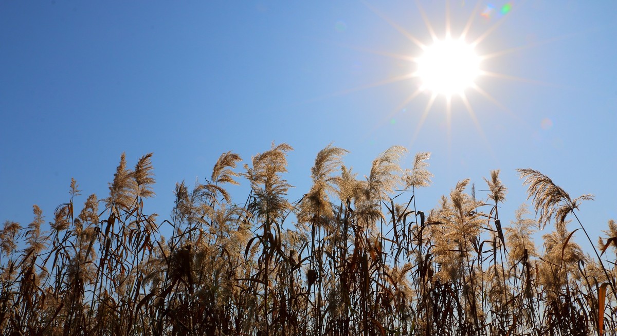 又学发大图：回顾2014