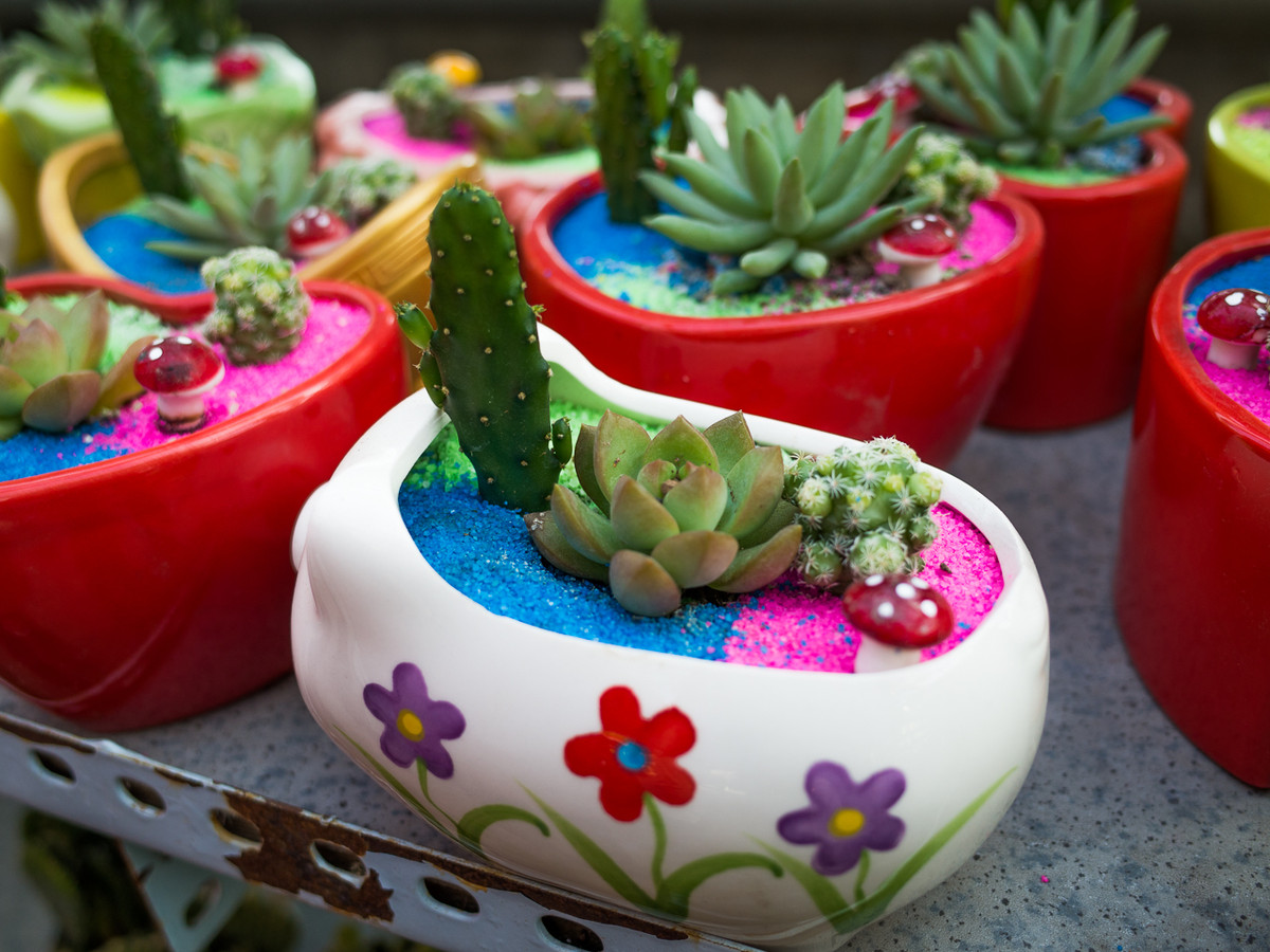 GR越用越爱------花卉大观园