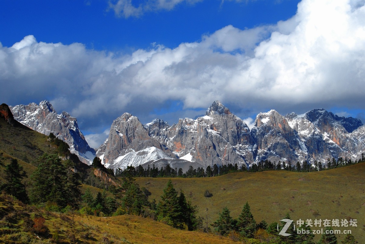 #寻找尼康镜头中的最美中国#九色香巴拉——醉人的迭部阿班牧场