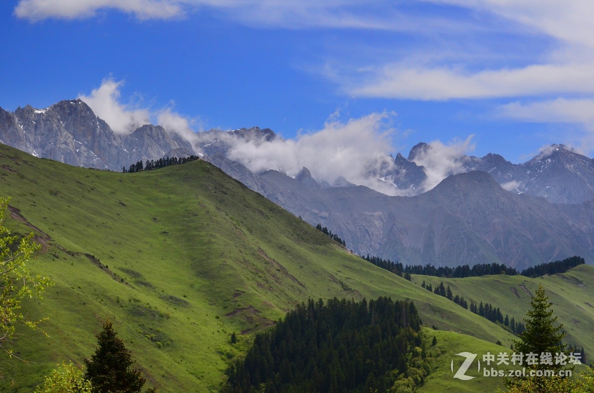 #寻找尼康镜头中的最美中国#九色香巴拉——醉人的迭部阿班牧场
