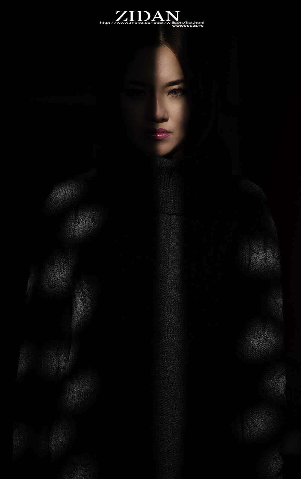 《人像版优秀作品》2014年12月