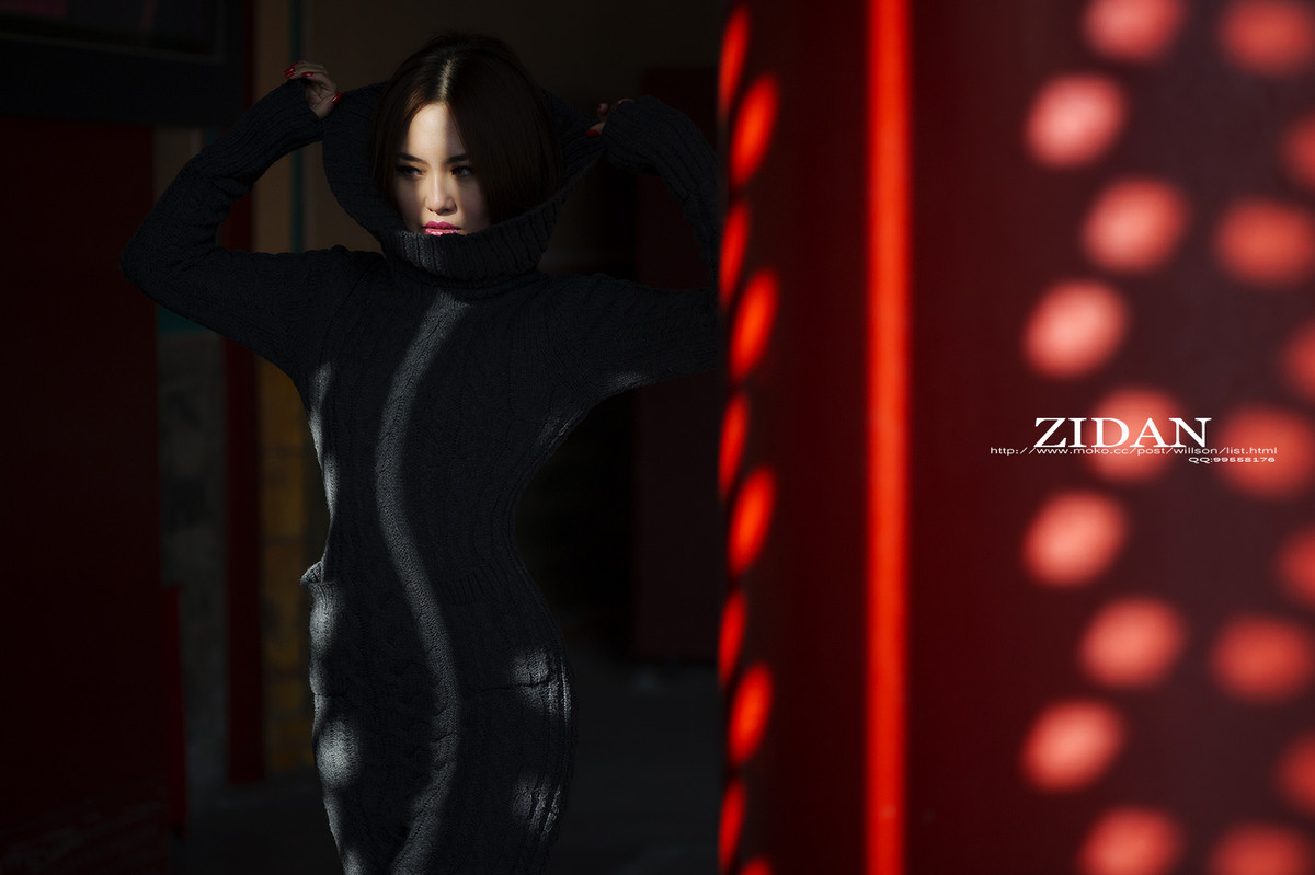 《人像版优秀作品》2014年12月