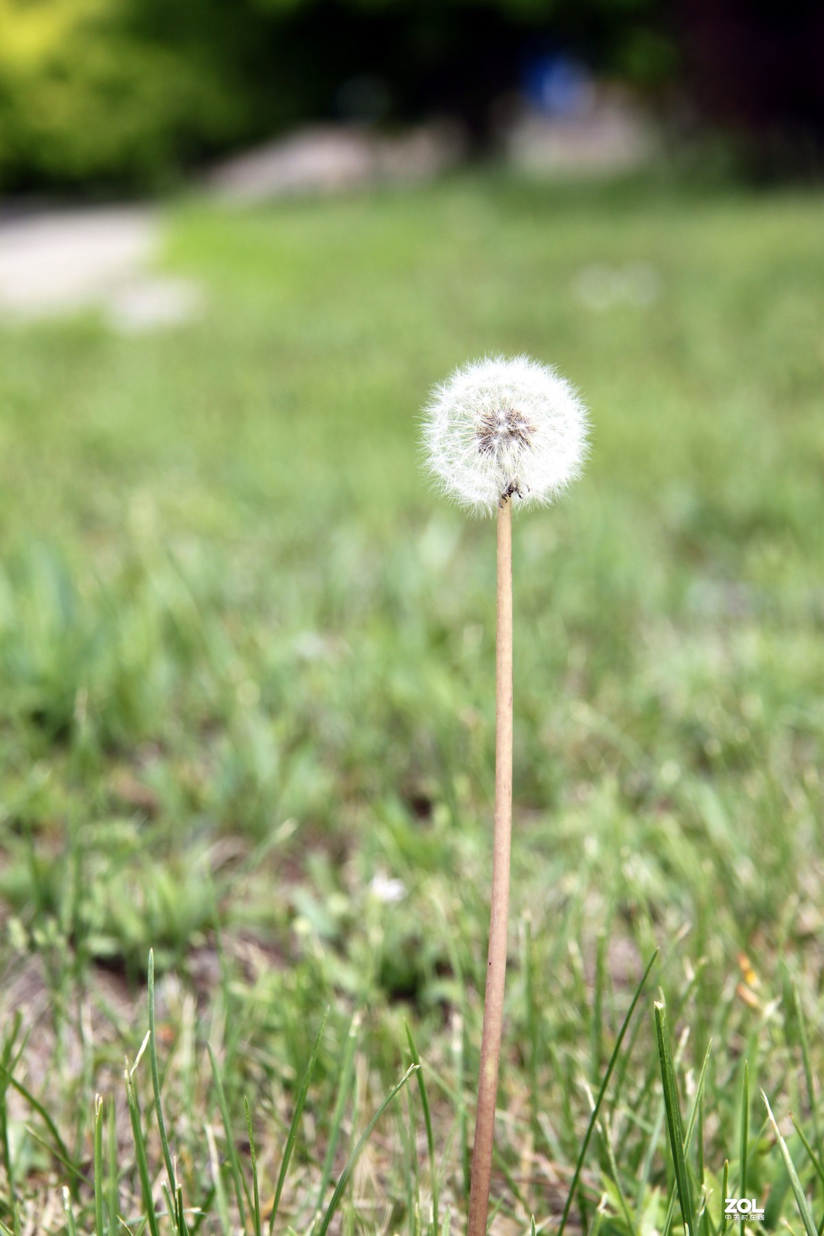 我大抚顺的生命之环
