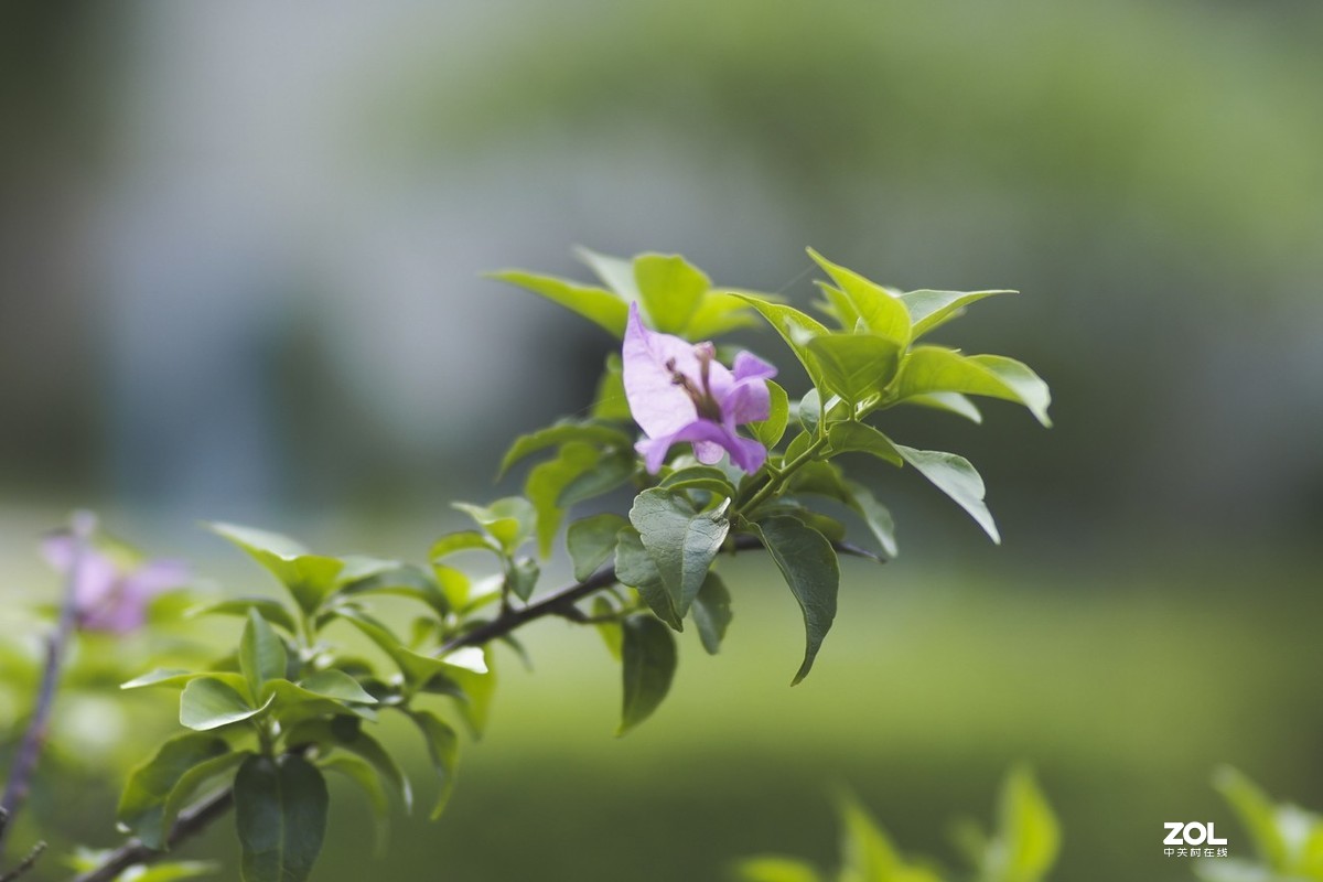 唯卓仕转接环，真的能增大光圈