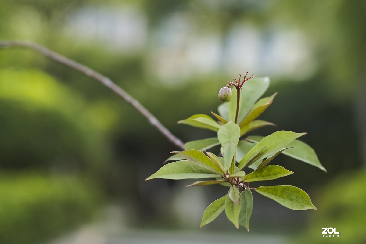 唯卓仕转接环，真的能增大光圈