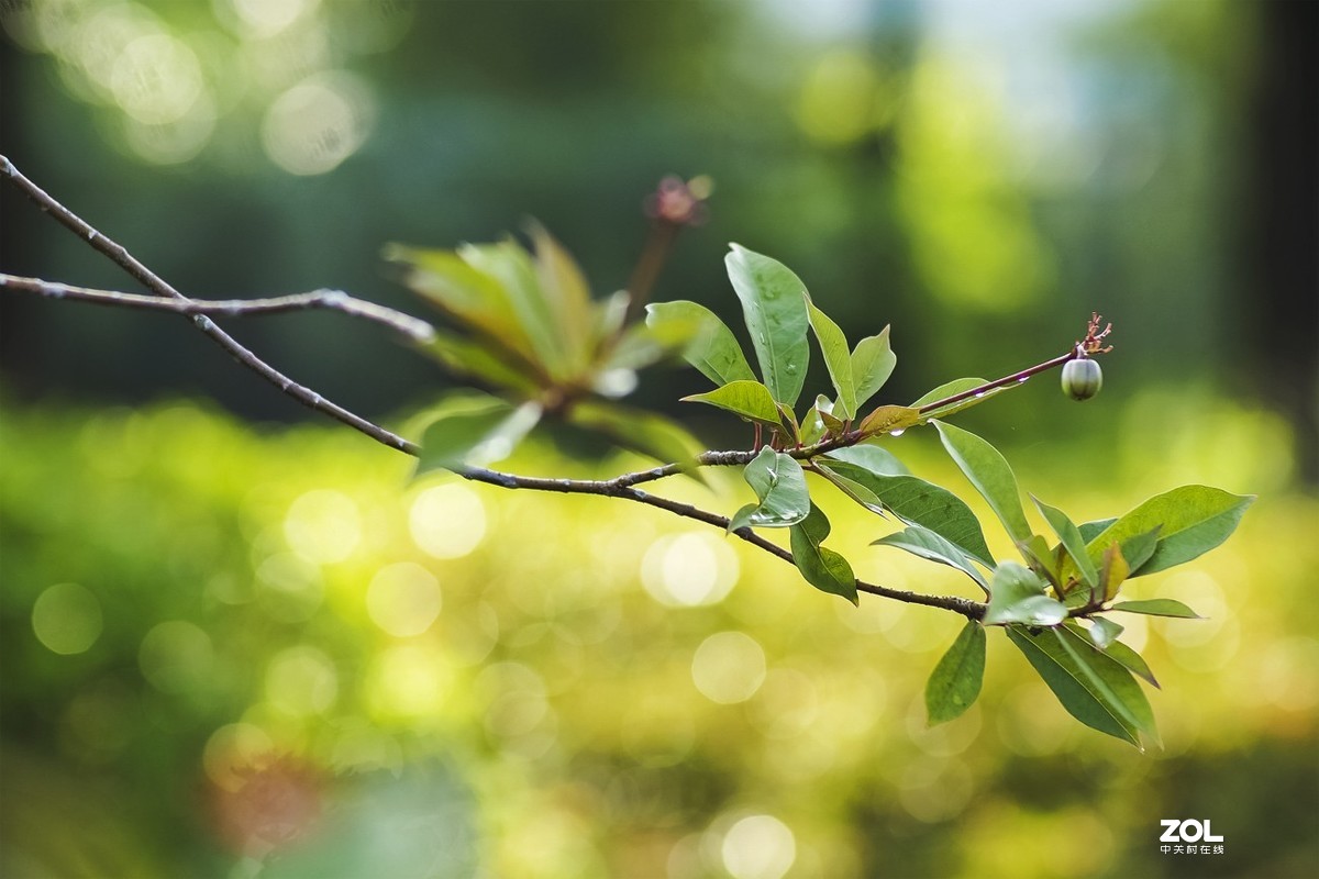 唯卓仕转接环，真的能增大光圈