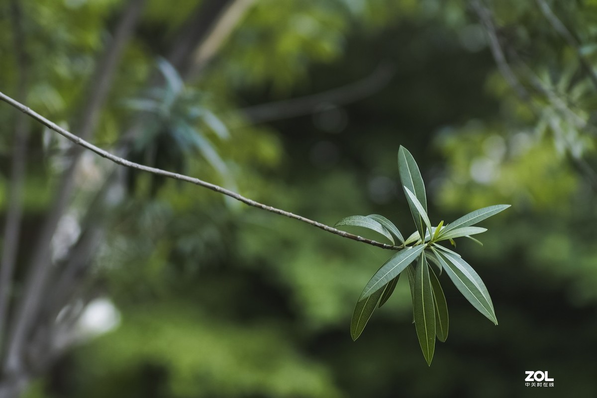 唯卓仕转接环，真的能增大光圈