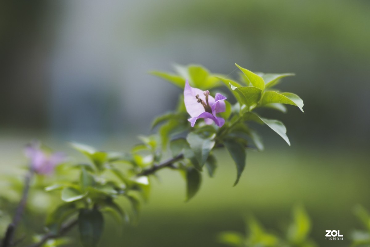 唯卓仕转接环，真的能增大光圈