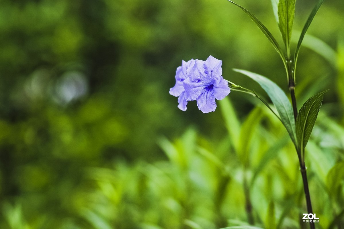 唯卓仕转接环，真的能增大光圈