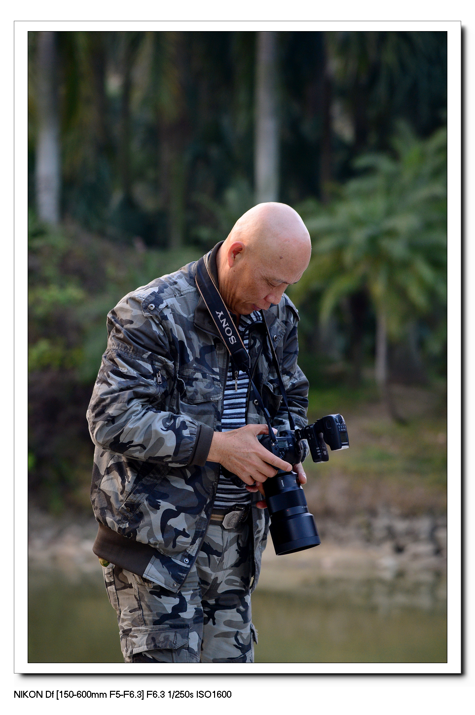 螳螂捕蝉---黄雀作业。