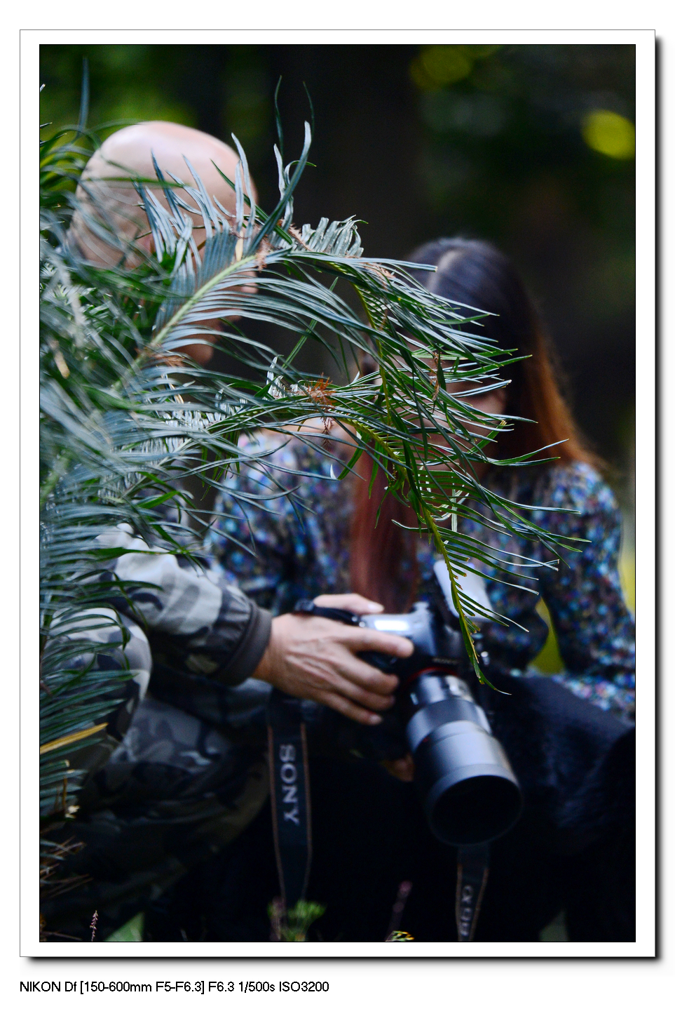 螳螂捕蝉---黄雀作业。