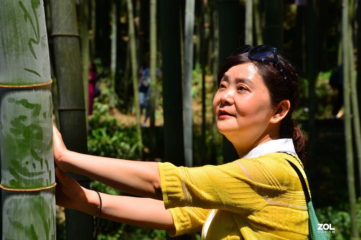 宜宾蜀南竹海游（二）