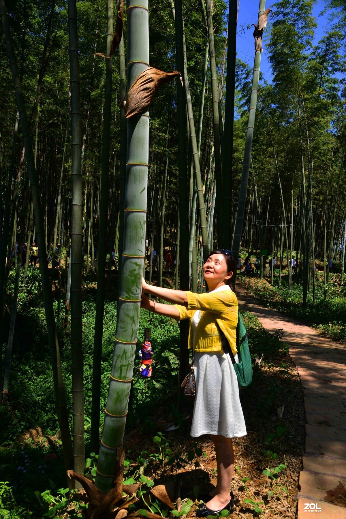 宜宾蜀南竹海游（二）