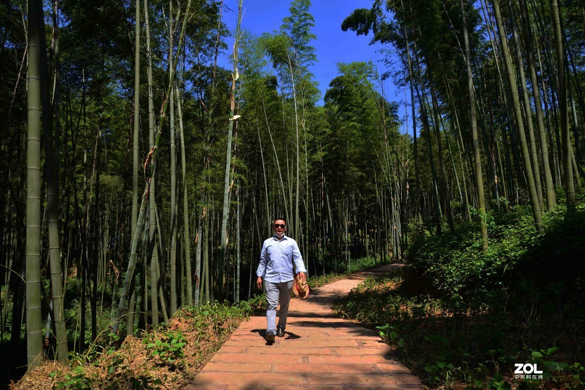 宜宾蜀南竹海游（二）