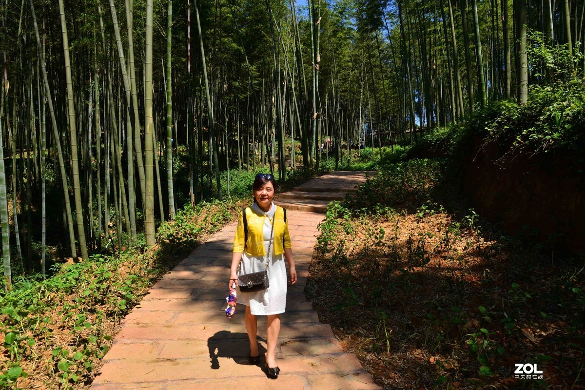 宜宾蜀南竹海游（二）