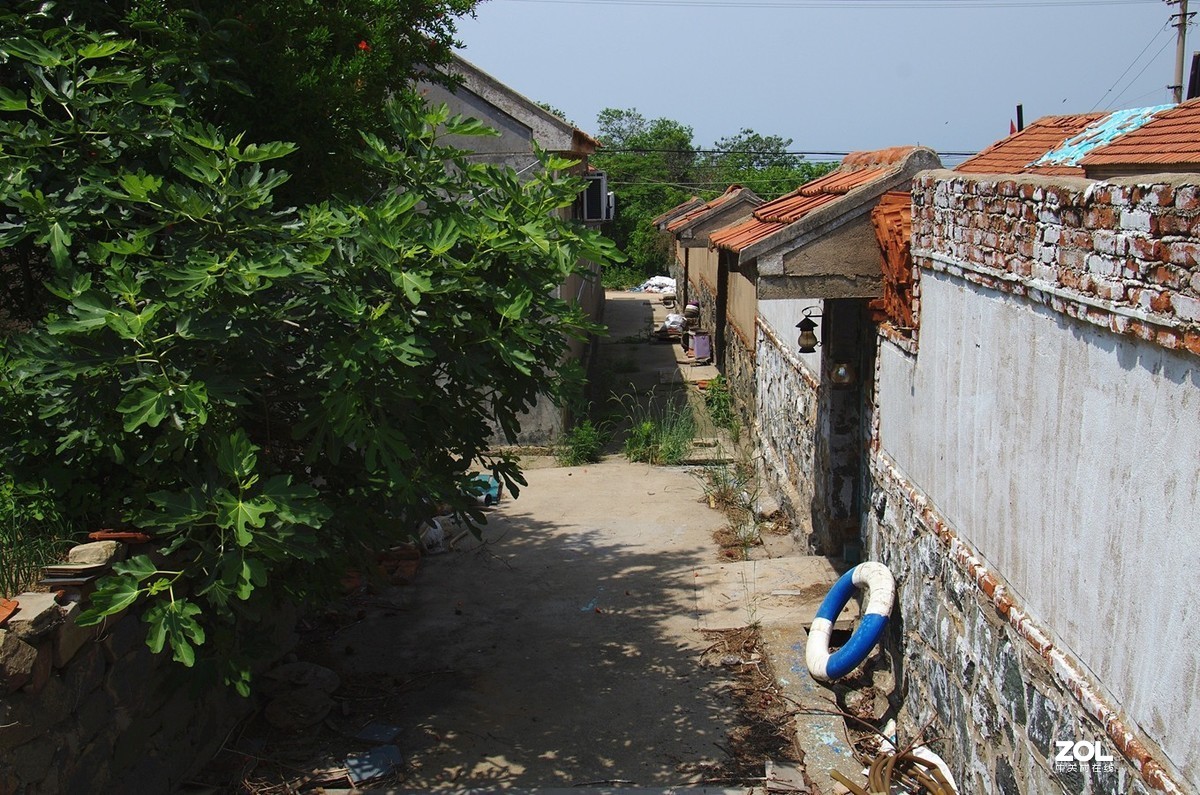 竹岔岛村纪实速写22p