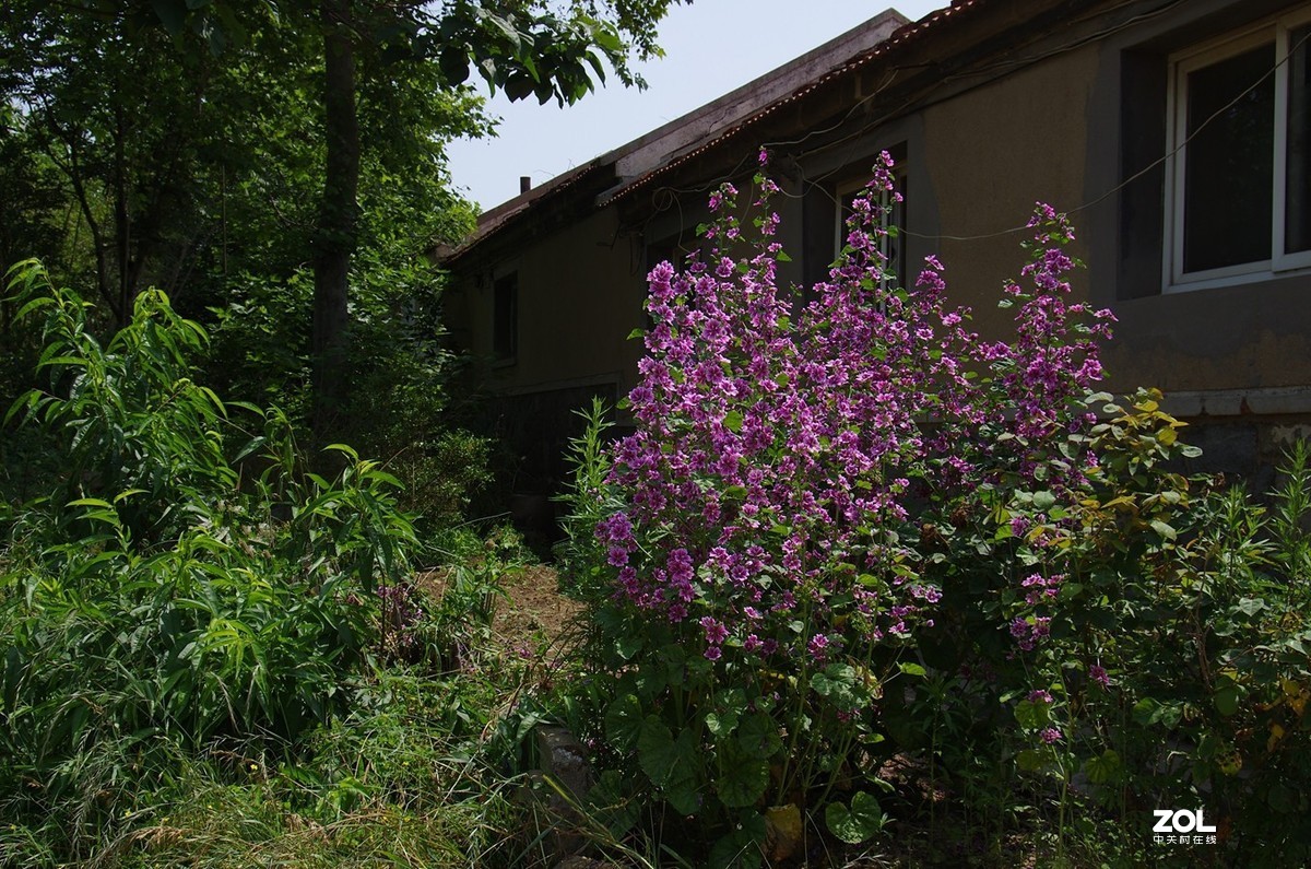 竹岔岛村纪实速写22p