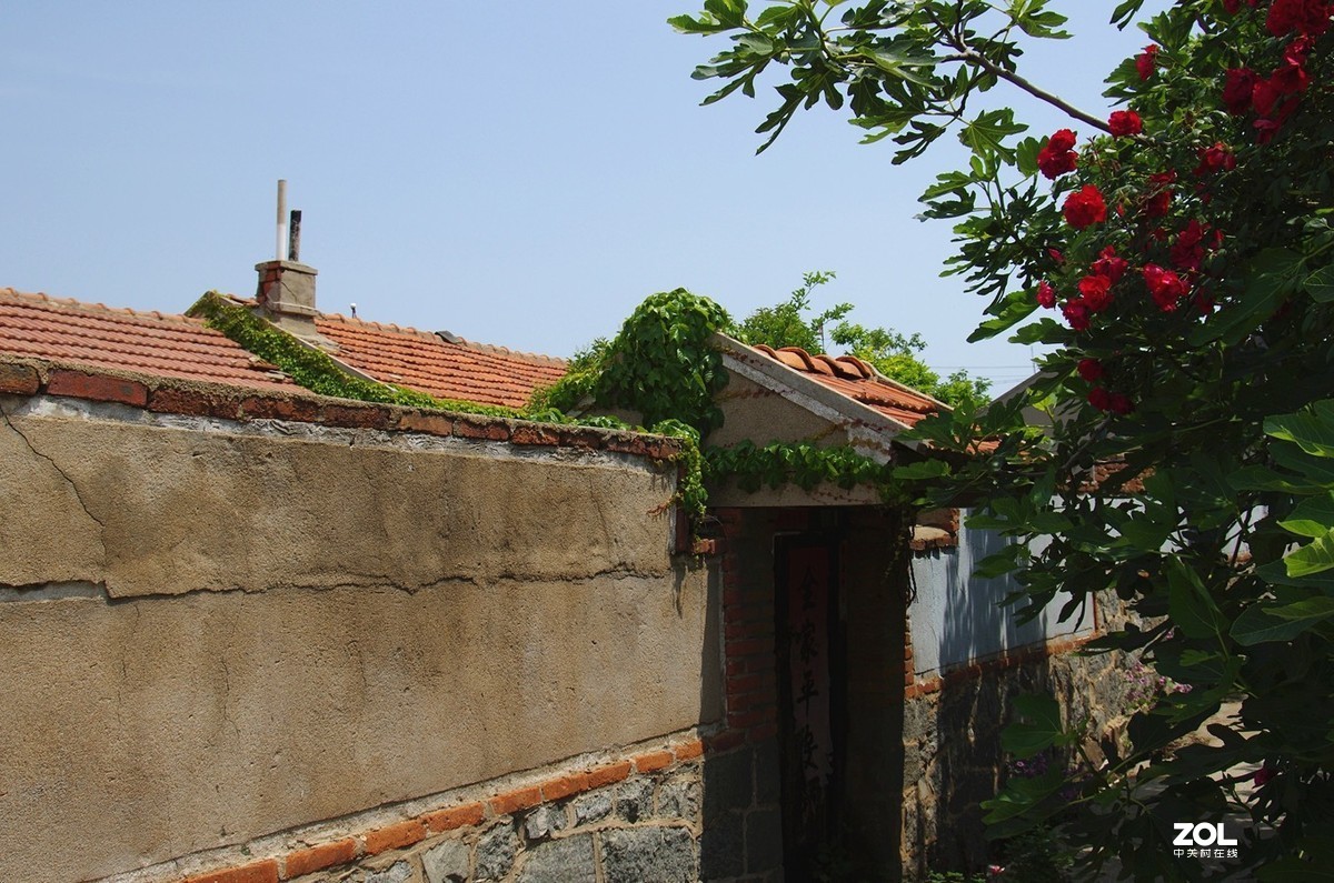竹岔岛村纪实速写22p