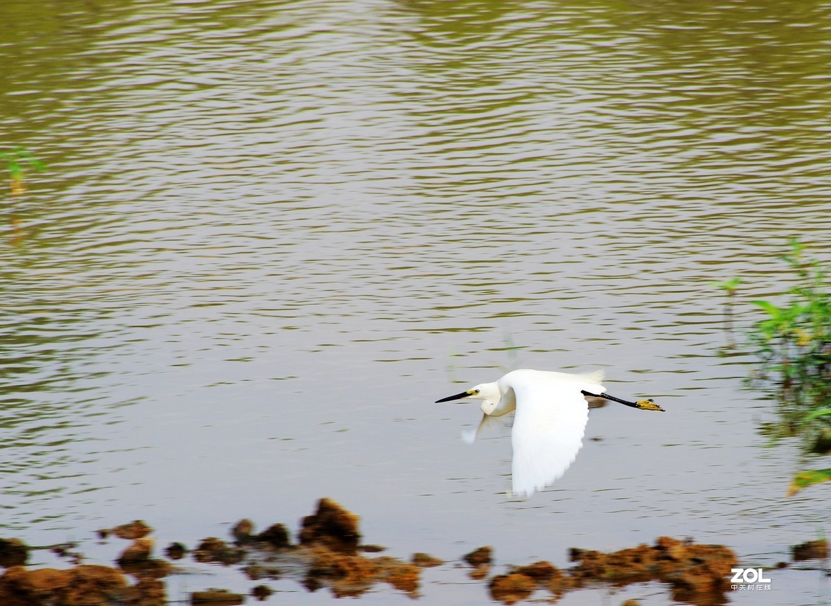 淄博淄川留仙湖、文昌湖湖边即景
