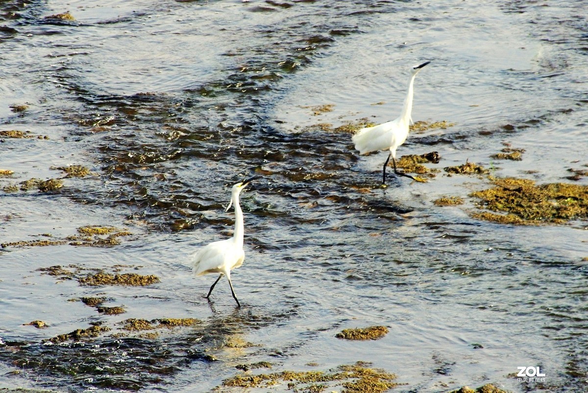 淄博淄川留仙湖、文昌湖湖边即景