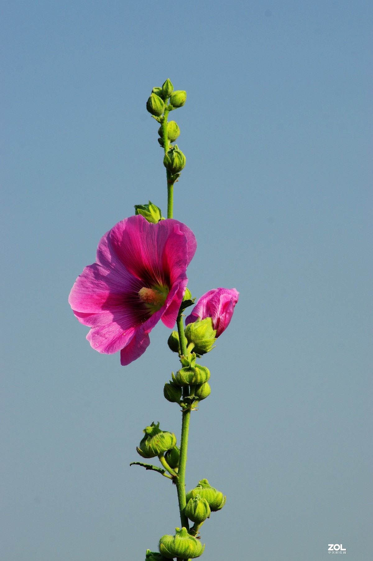 淄博淄川留仙湖、文昌湖湖边即景