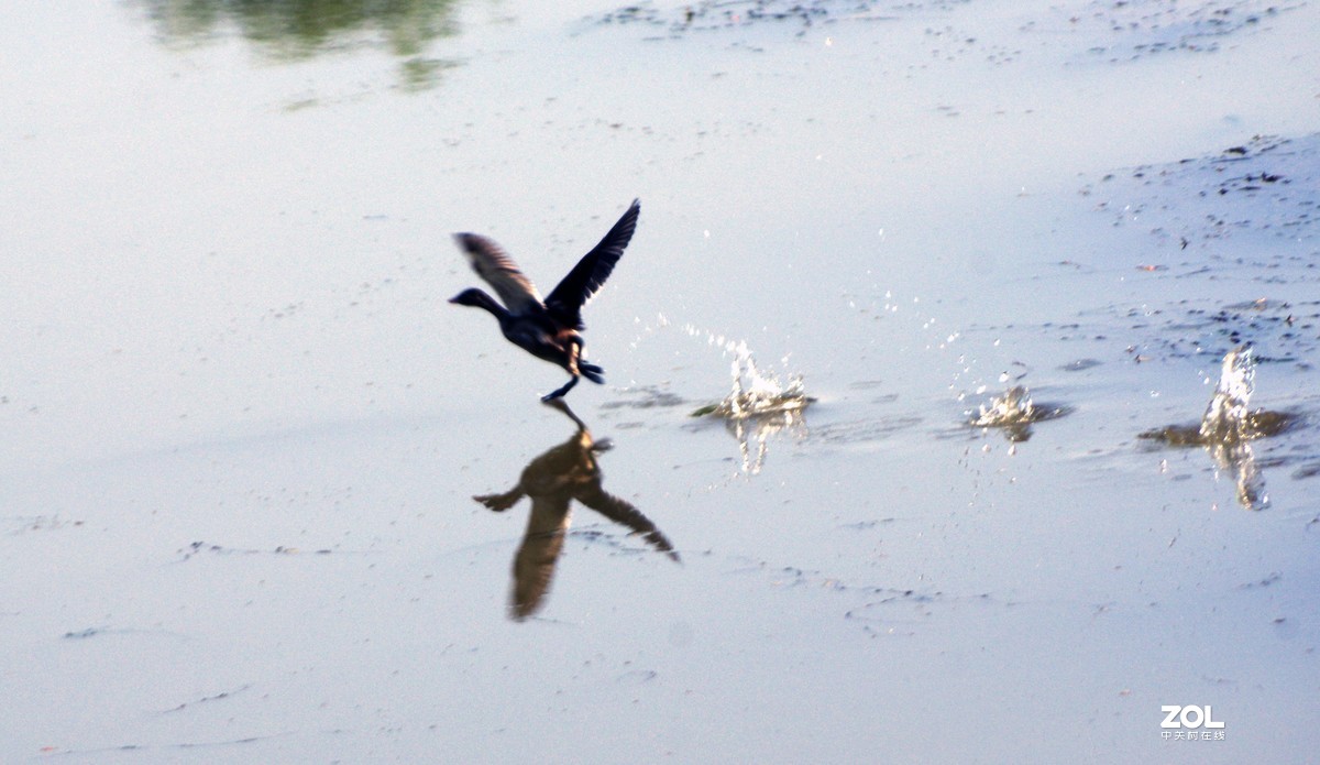 淄博淄川留仙湖、文昌湖湖边即景
