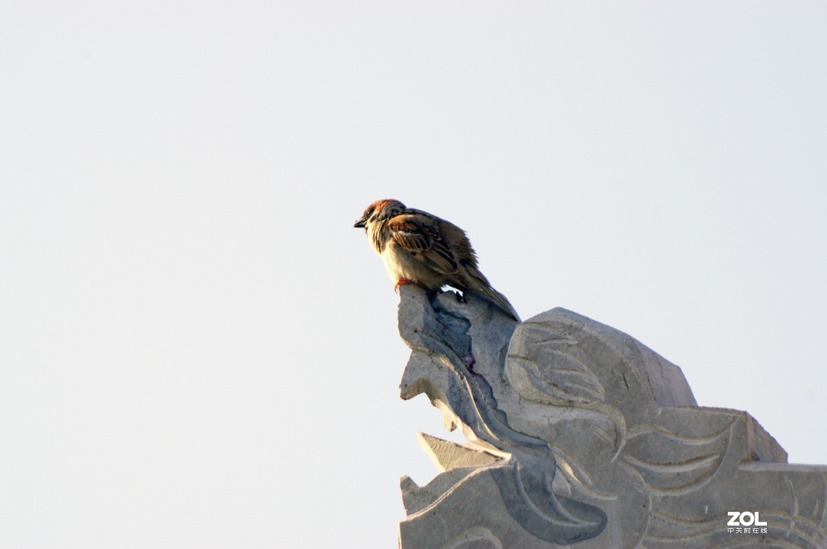 淄博淄川留仙湖、文昌湖湖边即景