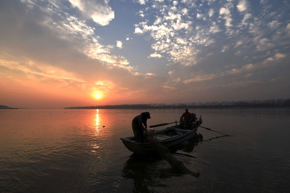 一步步滑进尼坑