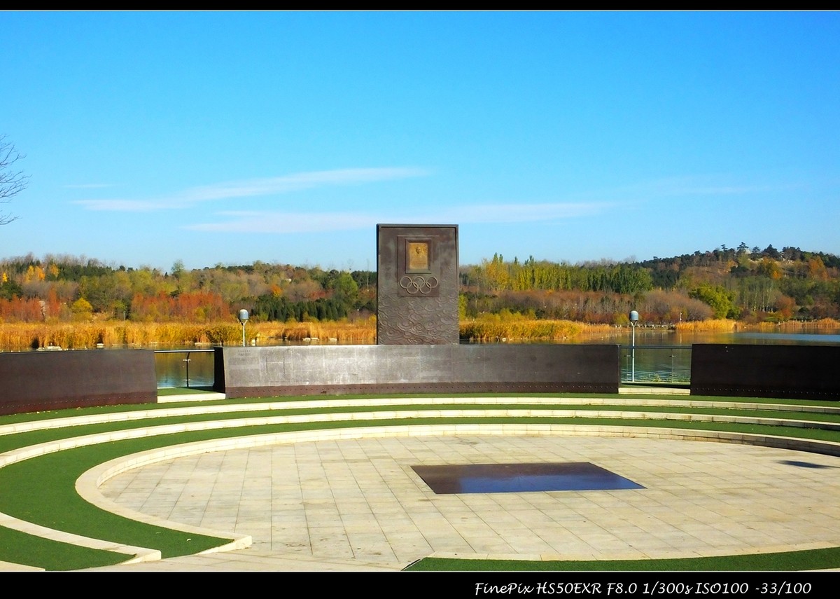 奥体森林公园初冬景色