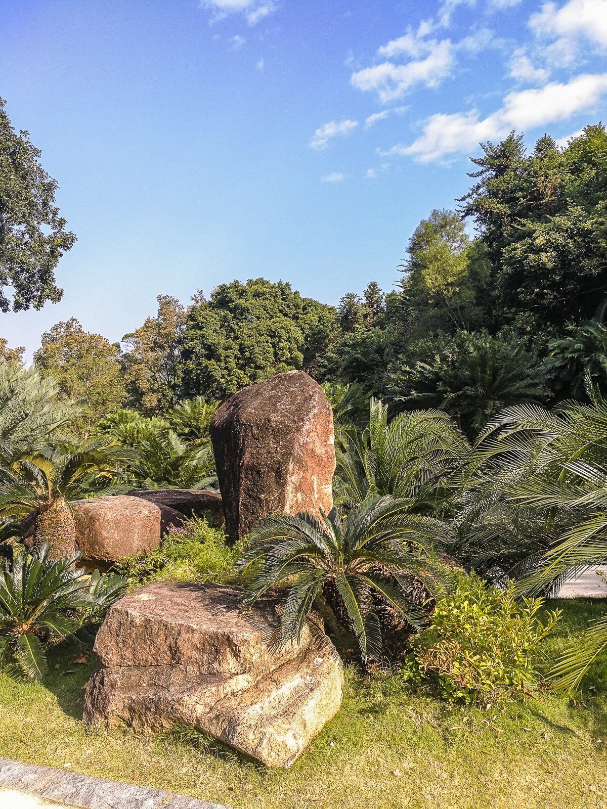 深圳仙湖植物园掠影