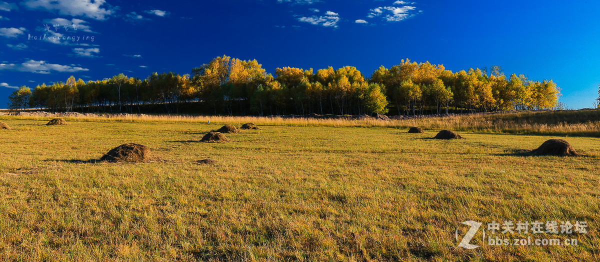 【塞罕坝国家森林公园】