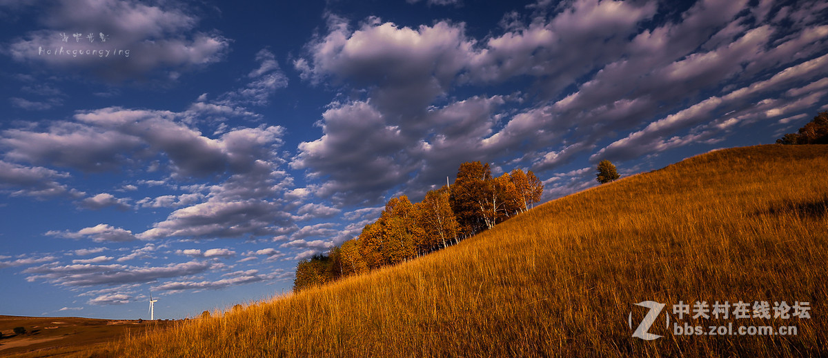 【塞罕坝国家森林公园】