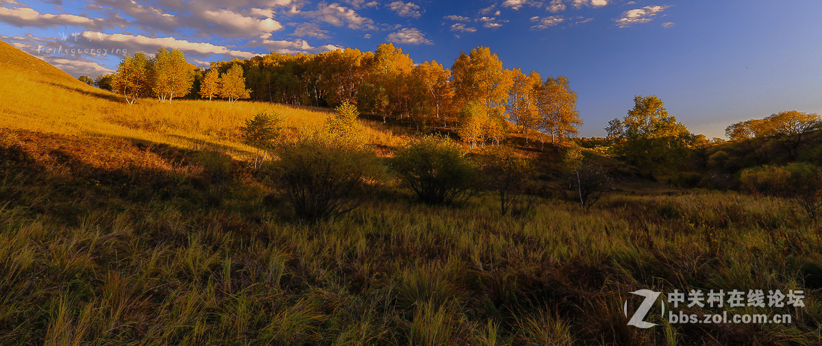【塞罕坝国家森林公园】