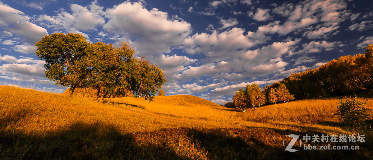 【塞罕坝国家森林公园】