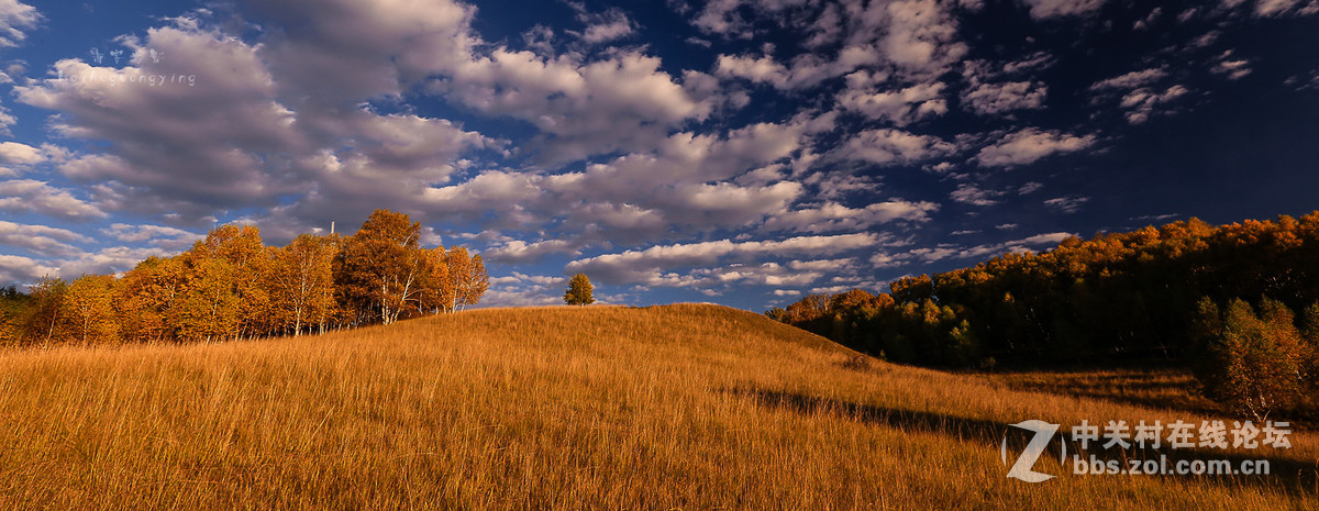 【塞罕坝国家森林公园】