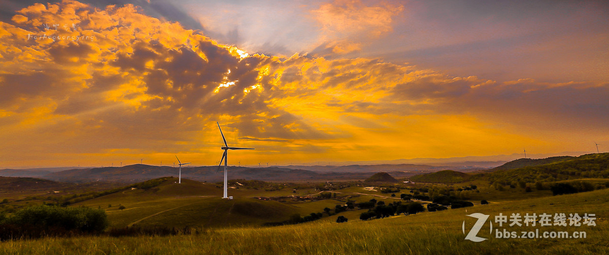 【塞罕坝国家森林公园】