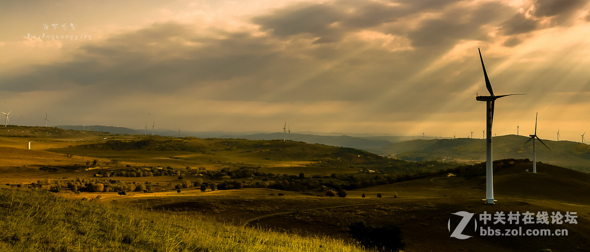 【塞罕坝国家森林公园】