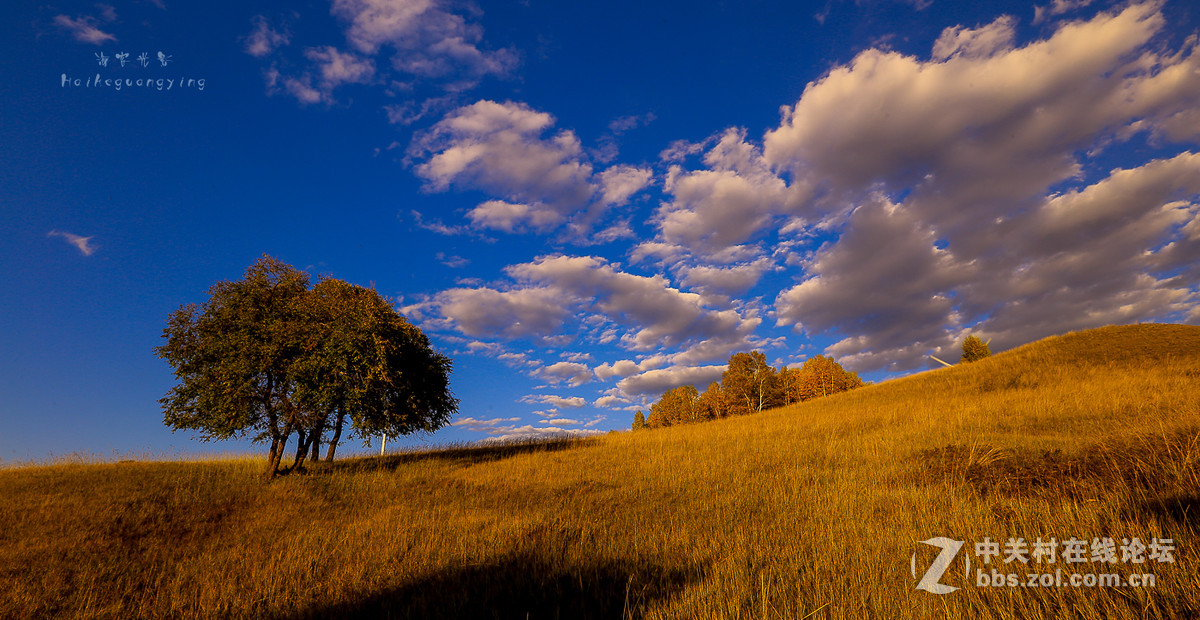【塞罕坝国家森林公园】
