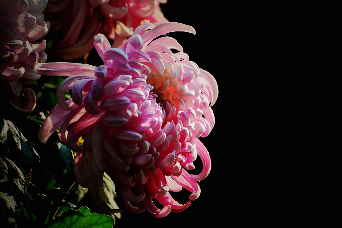 #2014摄影精彩回顾#——我的成长之路