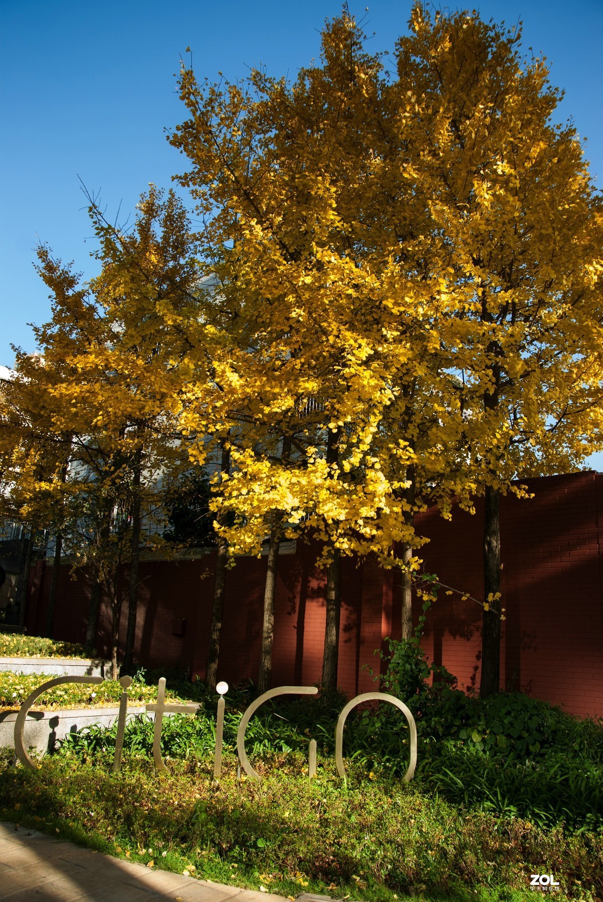 现在还有人用k200d拍照吗？