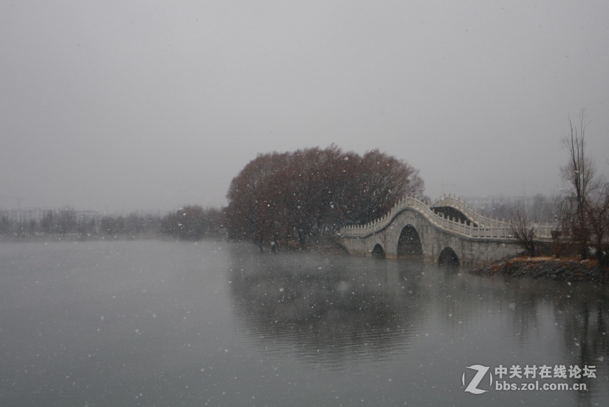 刚学摄影，借用同事和公司的相机，请老师们批评指正。准备入尼康D750，老婆划款就下手