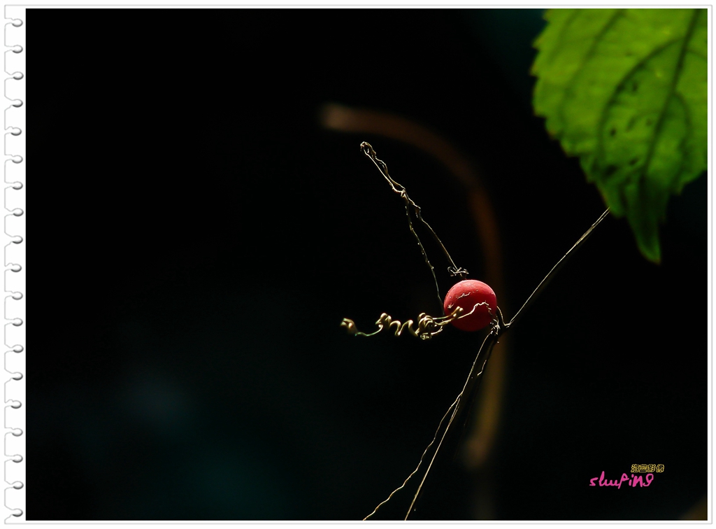 新年、新版，老H2发图