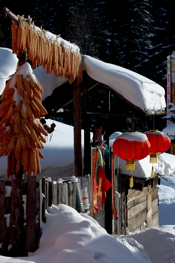《我的尼康印象-我爱塞北的雪、我爱D70》
