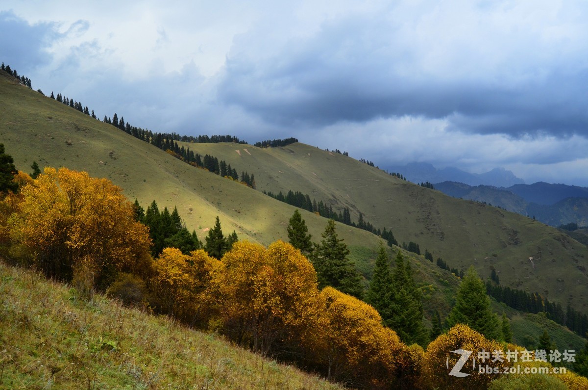 #寻找尼康镜头中的最美中国#九色香巴拉——醉人的迭部阿班牧场